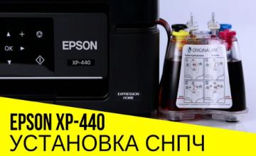 Как установить СНПЧ на МФУ Epson XP-440: делаем правильно