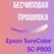 Бесчиповая прошивка Epson SureColor SC-P800. Видеоинструкция