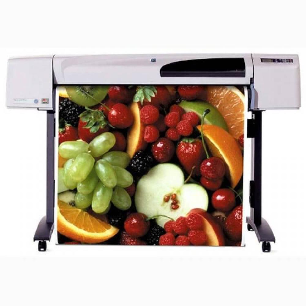 изображение Плоттер HP DesignJet 500 Plus 42" с СНПЧ - изображение 2