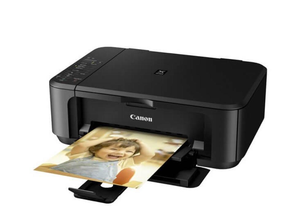 изображение МФУ Canon PIXMA MG2245 с СНПЧ - изображение 2