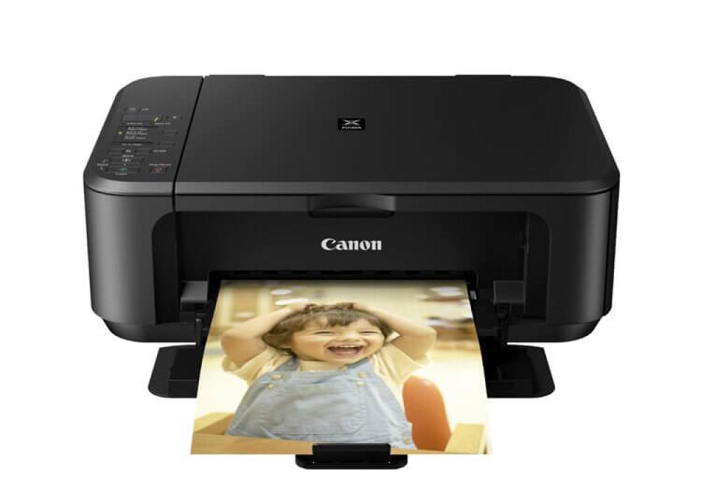 изображение МФУ Canon PIXMA MG2245 с СНПЧ - изображение 3