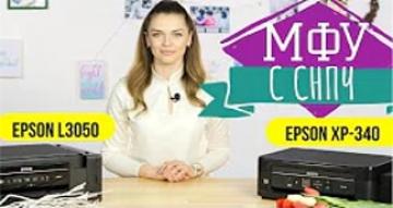 МФУ для дома с СНПЧ: Epson XP-340 против Epson L3050 | Сравнительный обзор с Дариной