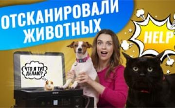 Что будет, если отсканировать животных. Сканируем собаку и кошку